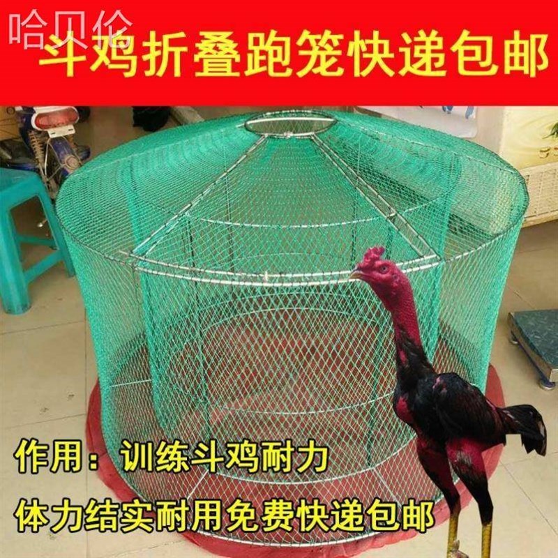 斗鸡训练跑笼斗鸡跑笼斗鸡折叠跑笼斗鸡罩笼跑笼斗鸡跑龙折叠跑