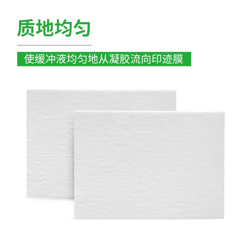 伯乐bio-rad 超厚转印滤纸 WB湿转转膜半干转印 1703932 1703965