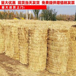 稻草帘保温保暖防冻草帘子道路防滑草席子混凝土防冻草席装饰屋顶