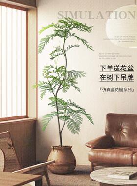 采购产品客厅装饰，无障碍豪华，高端模拟绿色植物，蓝莓室内大型