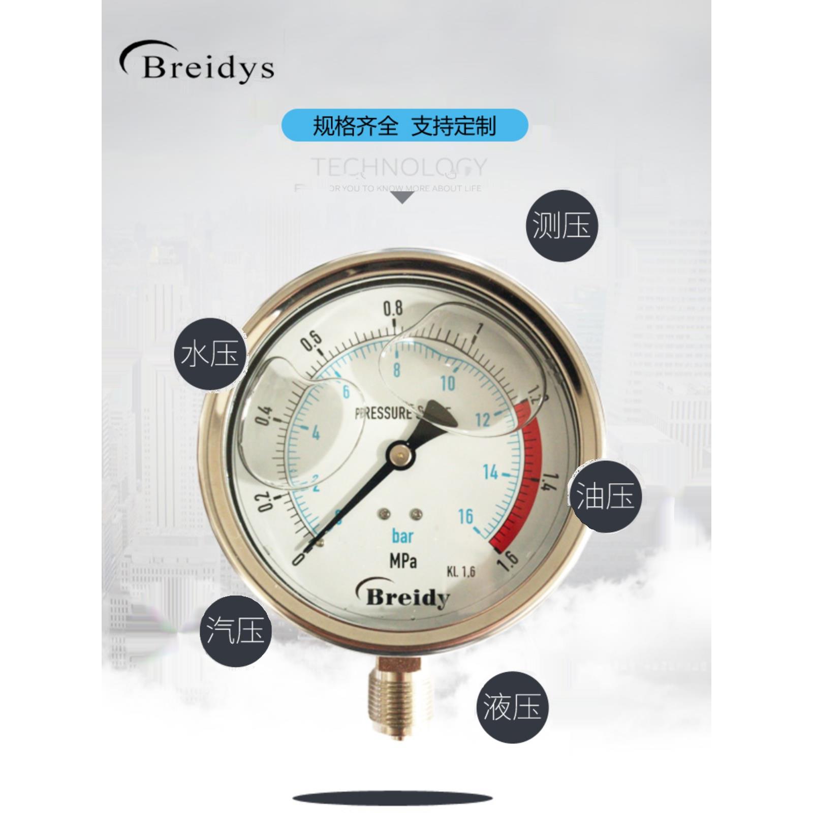 压力表YN100不锈钢耐震压力表测水压气压通用0-1.6/100Mpa多量程