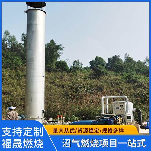 供应小型沼气火炬低压沼气火炬酒厂污水沼气火炬废气处理设备