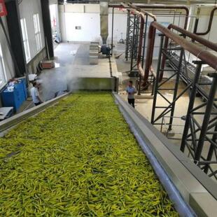 木材食品茶叶鼓风干燥箱热风循环高温烘箱工业恒温烘干设备厂家