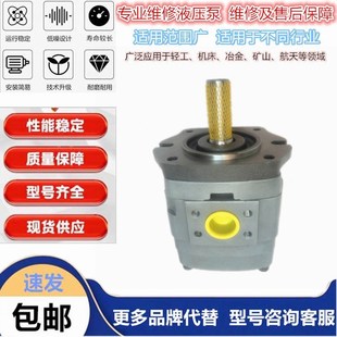 100油泵 Nachi不二越齿轮泵IPH IPH