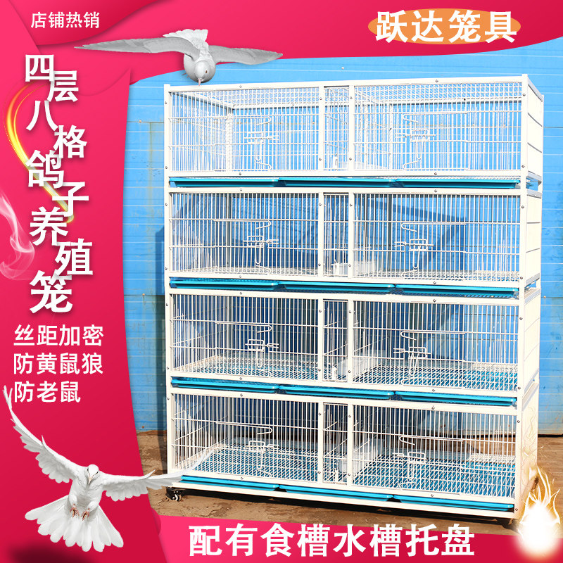 包邮三层鸽子配对笼加密1.6厘米四层养殖笼带托盘食盒家用鸽舍笼