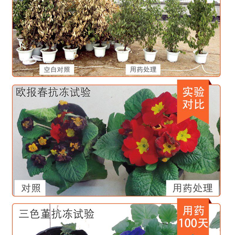 植物防冻液抗冻剂防寒果树抗寒树木防冻花卉蔬菜草莓农用抗冻液剂