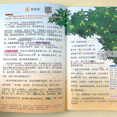 五年级上册语文课堂笔记人教课本