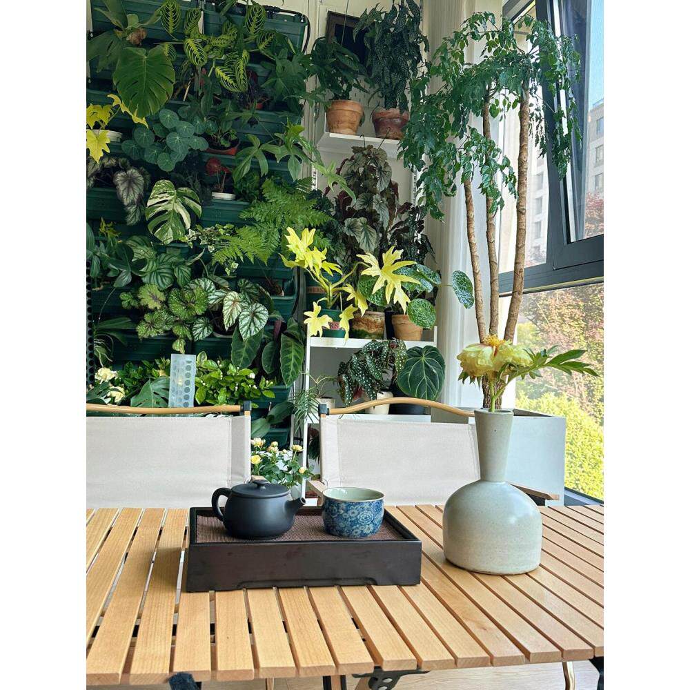 阳台移动植物墙花架户外庭院落地绿植墙花盆架子多层蔬菜种植架