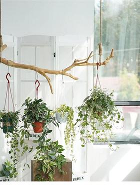 服装店干树枝吊架挂衣架展示架吊顶悬挂架晾衣杆原木简约橘子树枝