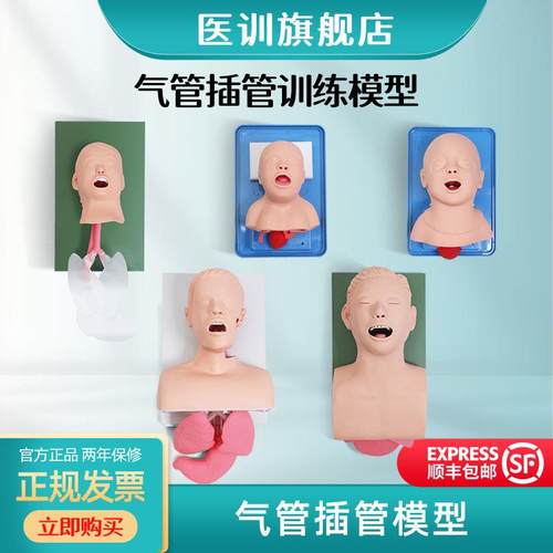 医训高级人体气管插练模