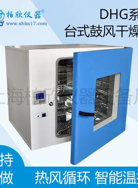 DHG-9125A台式300度电热恒温鼓风干燥箱/老化箱/上海鼓风干燥箱/