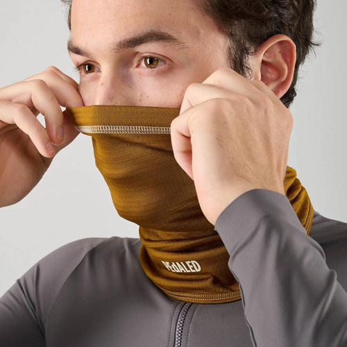 【新品】PEdALED Element 系列 美利奴羊毛保暖脖套 芥末黄