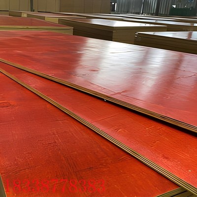 工地新型广西建筑模板多层橡木杉木松木实木板材整张大板