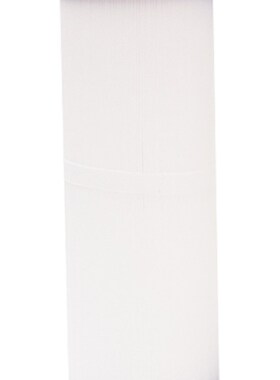 跨境热销儿童游泳池温泉SPA按摩浴缸滤芯PWW50L4CH-949泳池滤芯