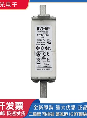 巴斯曼170M1560 170M1561 170M1562 170M3117 170M6814快速熔断器