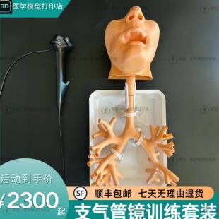 支气管镜训练模型纤维支气管镜训练模型支气管镜训练套装支气管镜