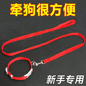 狗狗项圈便携狗圈中小型犬脖圈防挣脱牵引绳猫咪幼犬遛猫遛狗绳子
