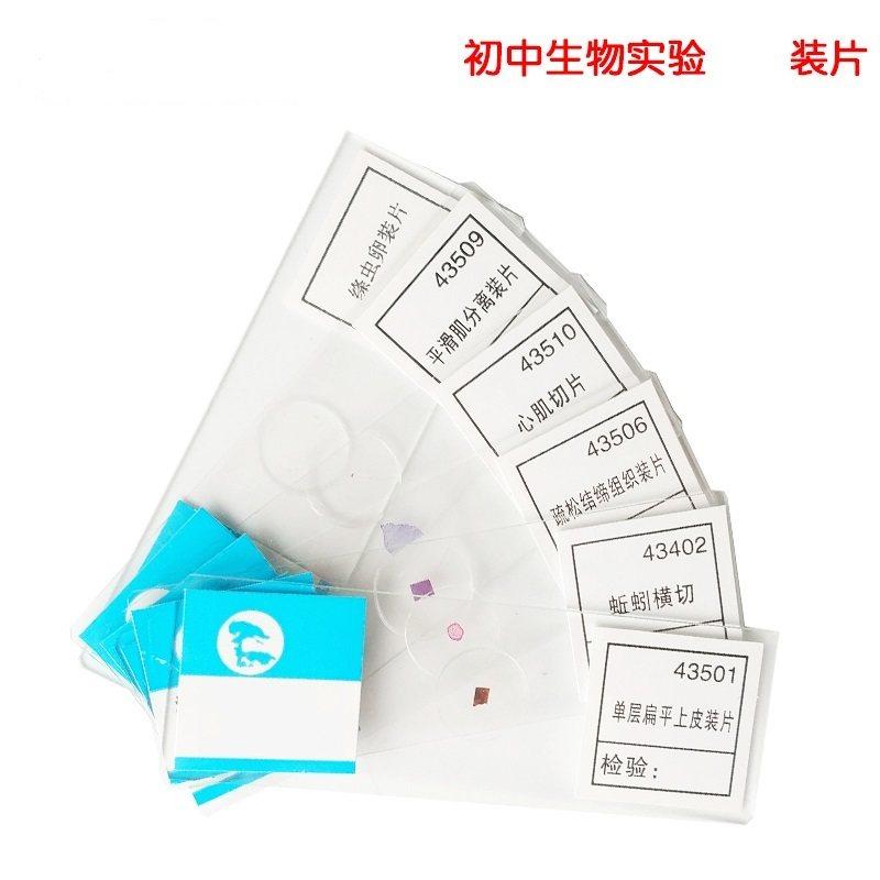 包邮 草履虫装片 生物显微镜玻片标本 动植物细胞切片