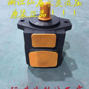 YLC浙江仙居永灵液压PV2R1 31RAF