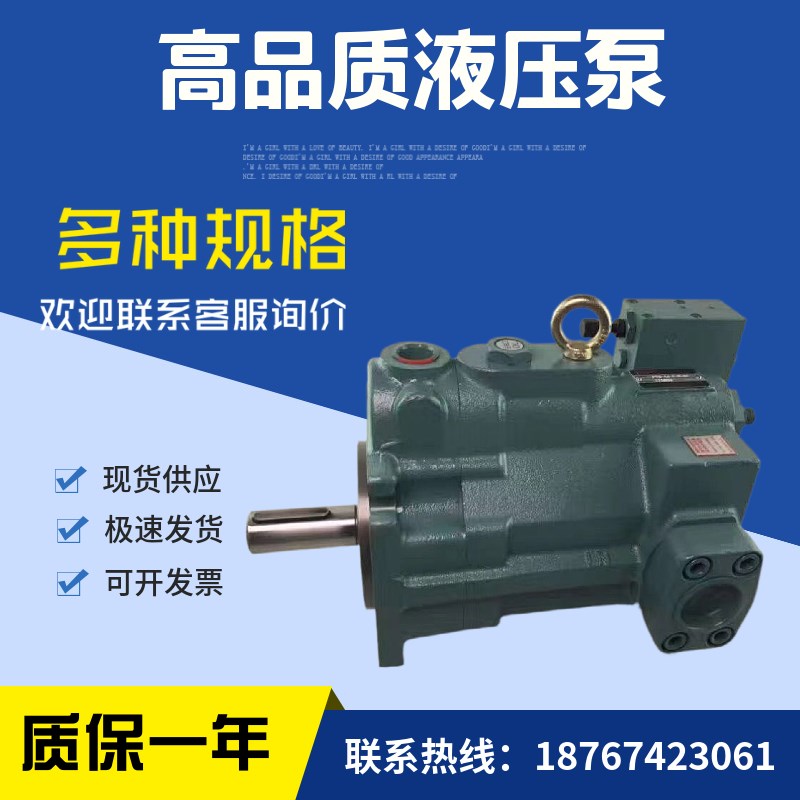 台湾柱塞泵P22-A1-F-R-01油泵P22-A2-F-R-01P22-A3-F-R-01