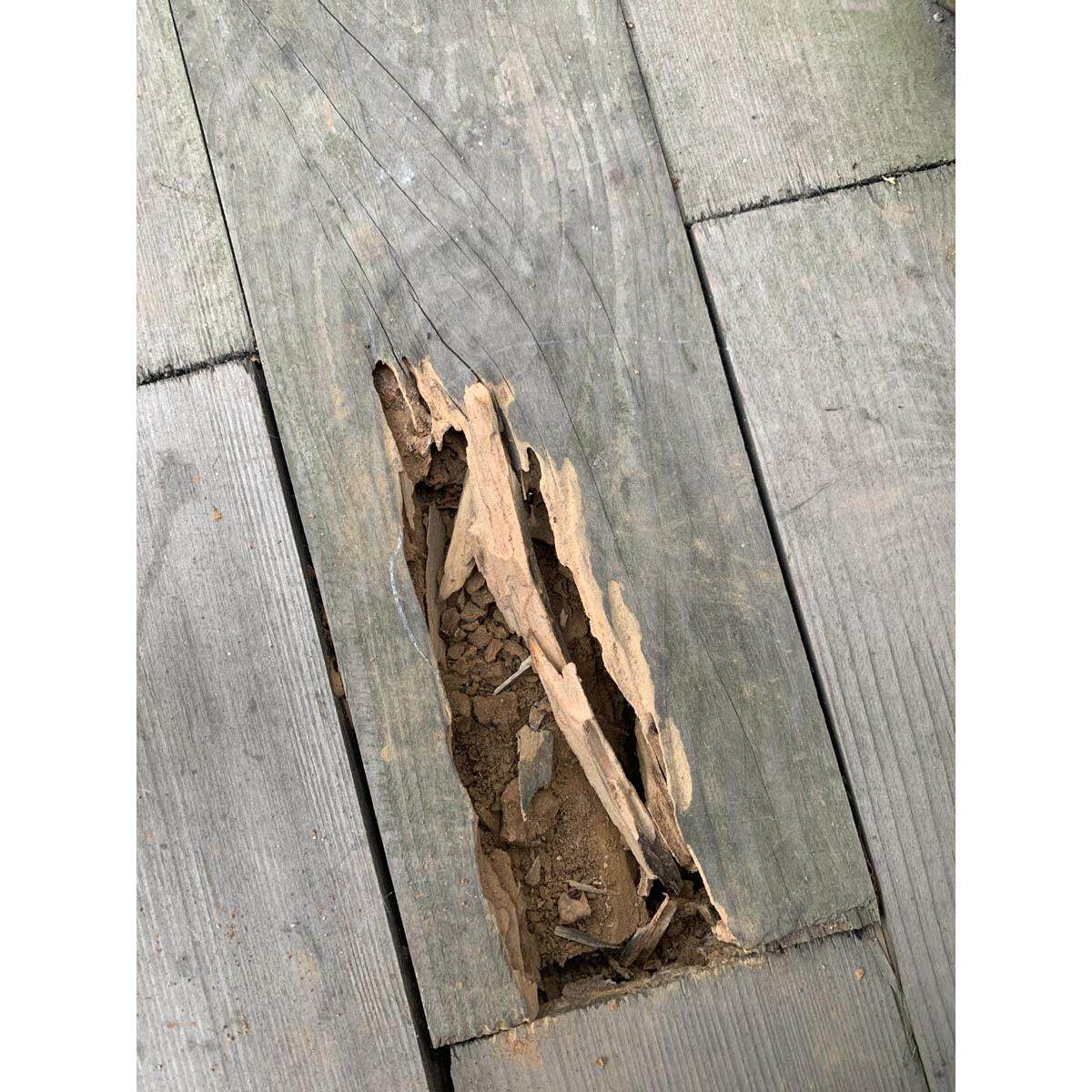 集运 木地板大缝隙填充修补膏 破洞修覆 松动固定维修 耐踩不脱落