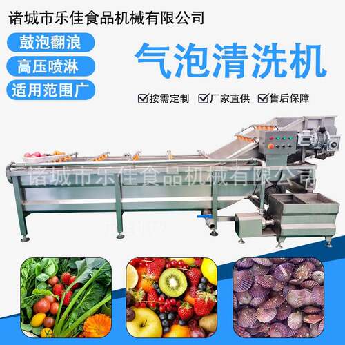 花生玉米高压喷淋清洗设备 毛豆去杂质清洗机 瓜果蔬菜气泡清洗机