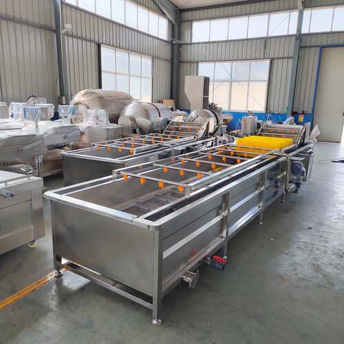 西梅清洗机 气泡水果清洗 流水线作业产量高清洗效果好