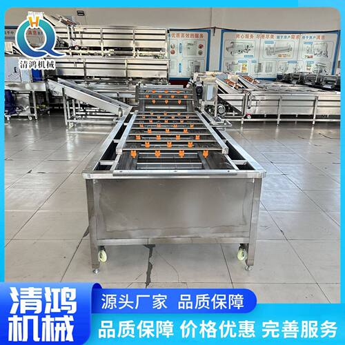 水果蔬清洗加成套设备 秋葵茄子气泡MAGA-102清洗机商菜用蘑工菇