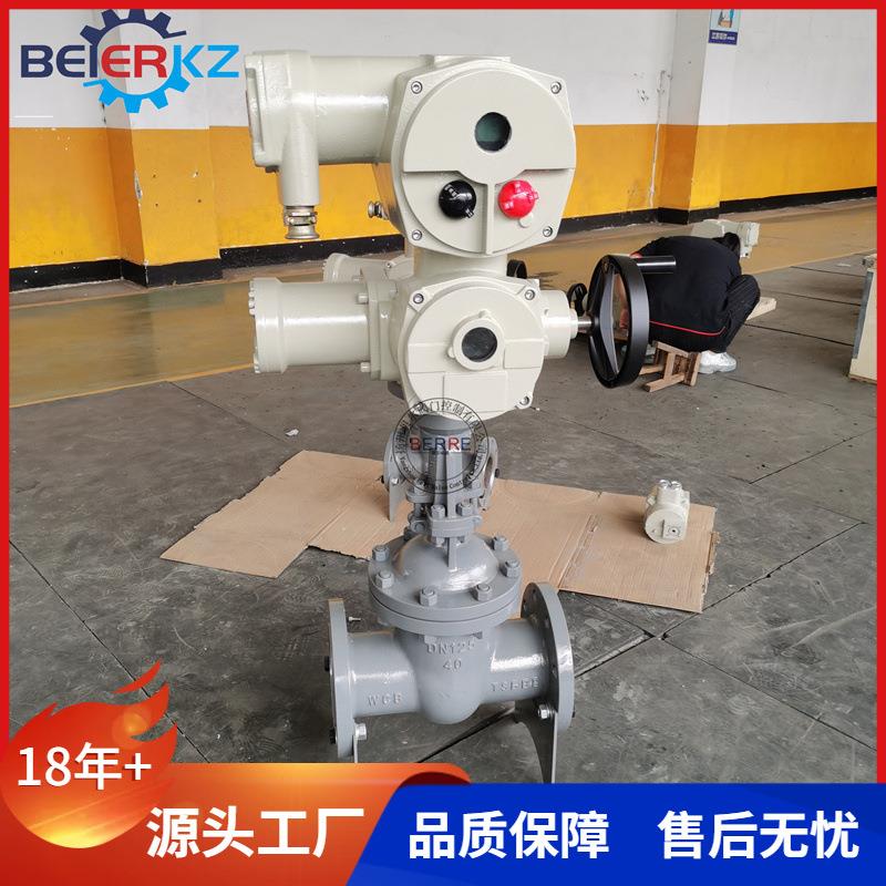矿用隔爆兼本安型智能电动闸阀带RS485通讯ZJK941H-25DN250