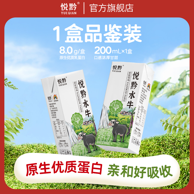 悦黔水牛纯牛奶水牛牛奶营养早餐