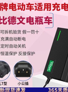 V2048V0H6机A关V20全新A2H7比德文电动车12A充电器适用H自动断电