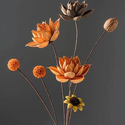 干莲蓬花花 摆设干花花束 客厅荷花小花瓶装饰摆件插花真禅意中式