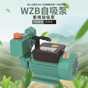 增压泵 WZB 自吸泵 抽水泵 高扬程太阳能增压泵 750W 铜线 家用