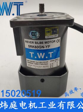 TWT电机 60W三相电机5IK60GN-YF  5IK60GN-SF 台湾东炜庭电机