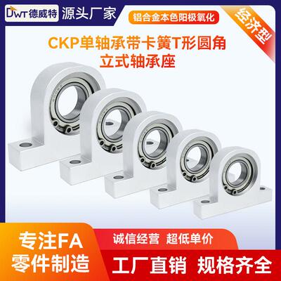 CKP经济型单轴承法兰立式轴承座P型T型C-BGHKA固定座BHJ01支撑座