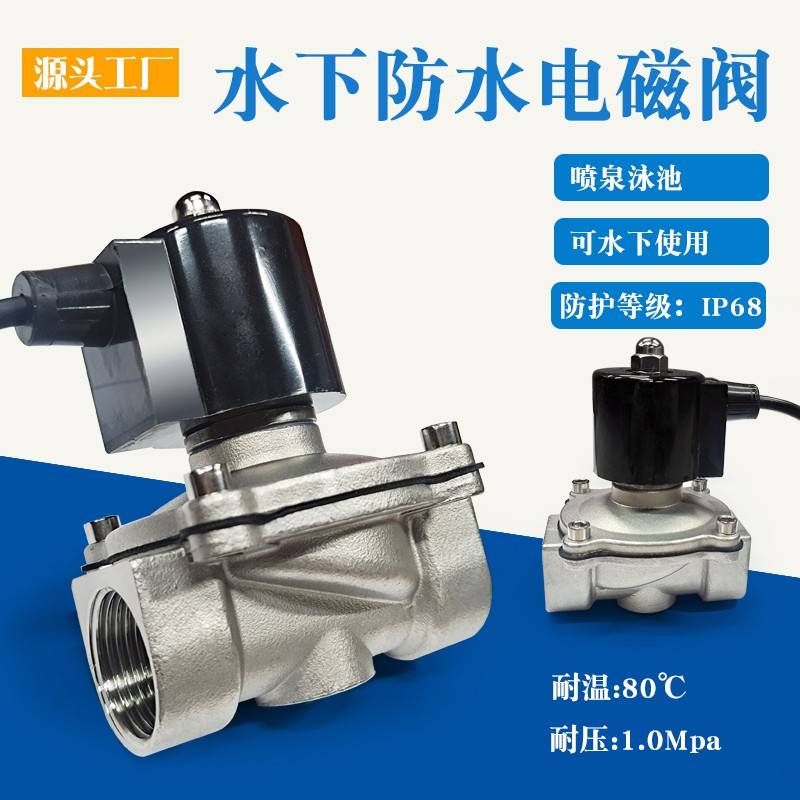 需定制2W泳池喷泉防水防雾水下电磁阀IP68户外电磁控制阀220V不锈