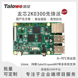 [官方]龙芯2K0300先锋派国产开发板/工控板/评估板LA架构单核鸿蒙