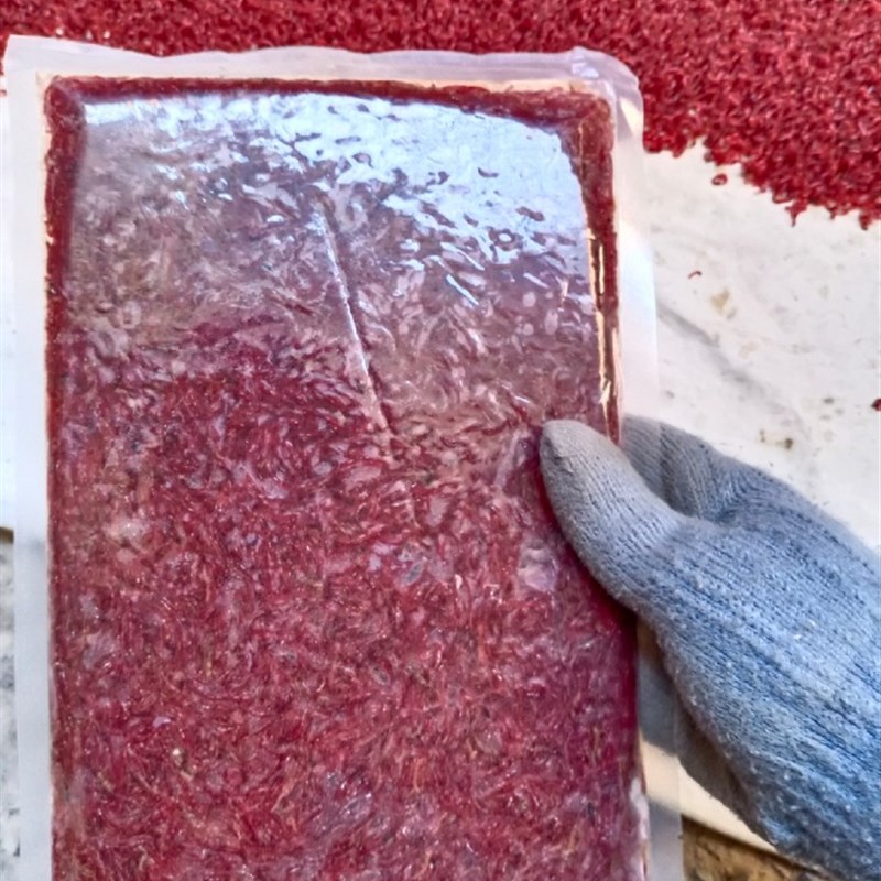 红虫冰冻麟虾丰年虾冷冻红x线血虫鱼粮金鱼食七彩六角龙鱼饲料