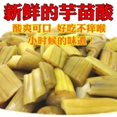 广东芋苗酸下饭菜下饭酱瓶装 凉拌开味小菜开瓶即食咸菜香辣新鲜