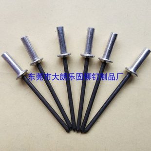 T12615封闭型扁圆头抽芯铆钉铝合金盲孔防水铆钉拉钉3.0