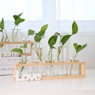 创意木架水培玻璃花瓶绿萝植物透明桌面摆件小容器办公室桌面装 饰