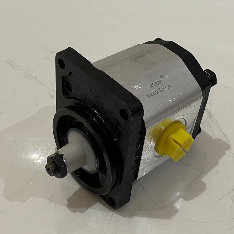 BHM2B2R14T1Z1-Q4齿轮马达