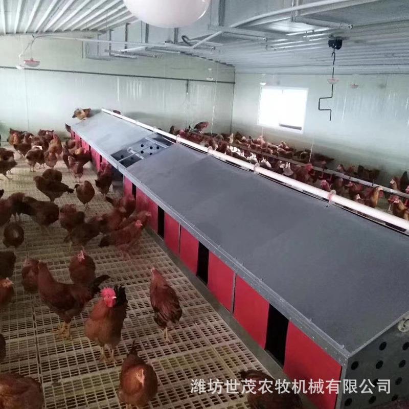 养鸡自动产蛋箱手动集蛋设备框架式产蛋箱双层多穴产蛋箱养鸡设备