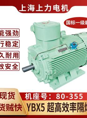 预约验厂YBX5-180M-418.5W防爆电机实体工厂防爆证齐全皮实