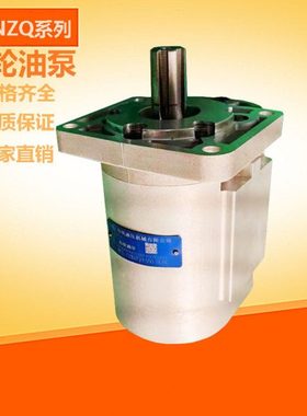 齿轮油泵CBNZQ-F520/F525/F532/F540/F550/F563-BLH/BLPL压路机泵