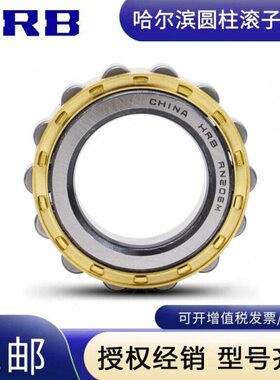 HRB哈尔滨轴承RN 304 305 306 307 308 309 310 312 313 317 M