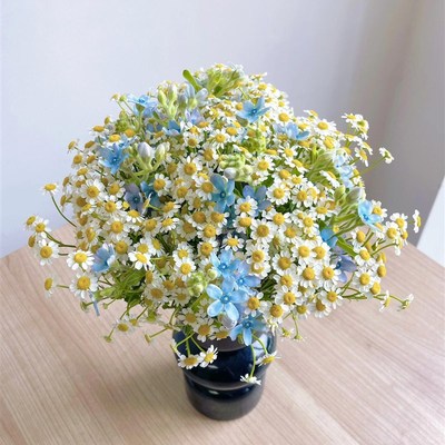 9.9 小菊向日葵鲜花配草x云南基地直发超长花期客厅办公室插花