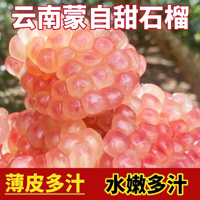 云南蒙自石榴9斤现摘先发