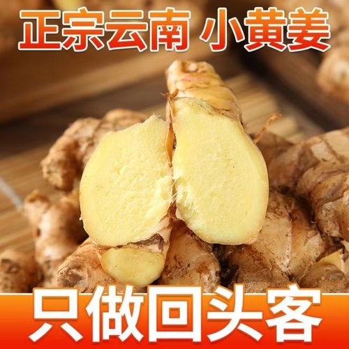 云南小黄姜新鲜生姜老姜