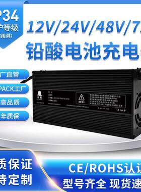 1300w48V20A铝壳电动高尔夫车电动汽车磷酸铁锂免维护电池充电器